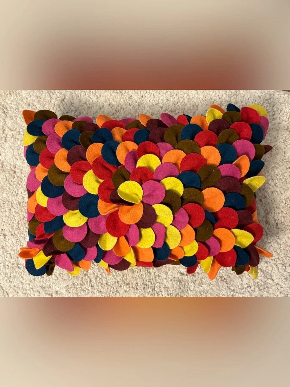 Colorful Accent Pillow by Arlee Home